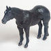 Little Buster Quarter Horse - Black  