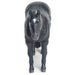 Little Buster Quarter Horse - Black  