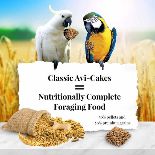 Lafeber Classic Avi-Cakes for Macaw & Cockatoo, 1 lb bag -   