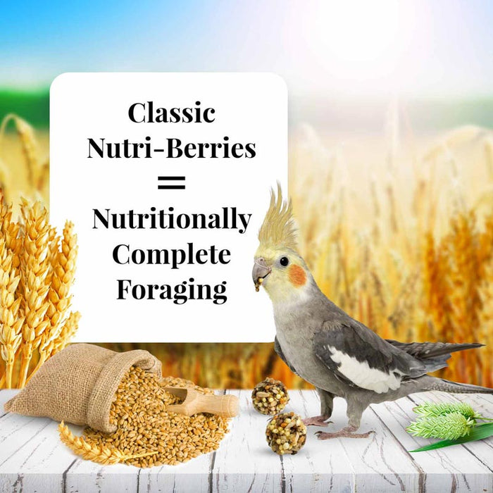 Lafeber Classic Cockatiel Nutri-Berries, 10 oz bag -   