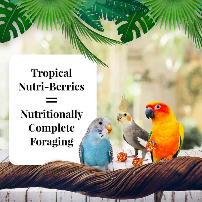 Lafeber Cockatiel Tropical Fruit Nutri-Berries, 10 oz bag -   