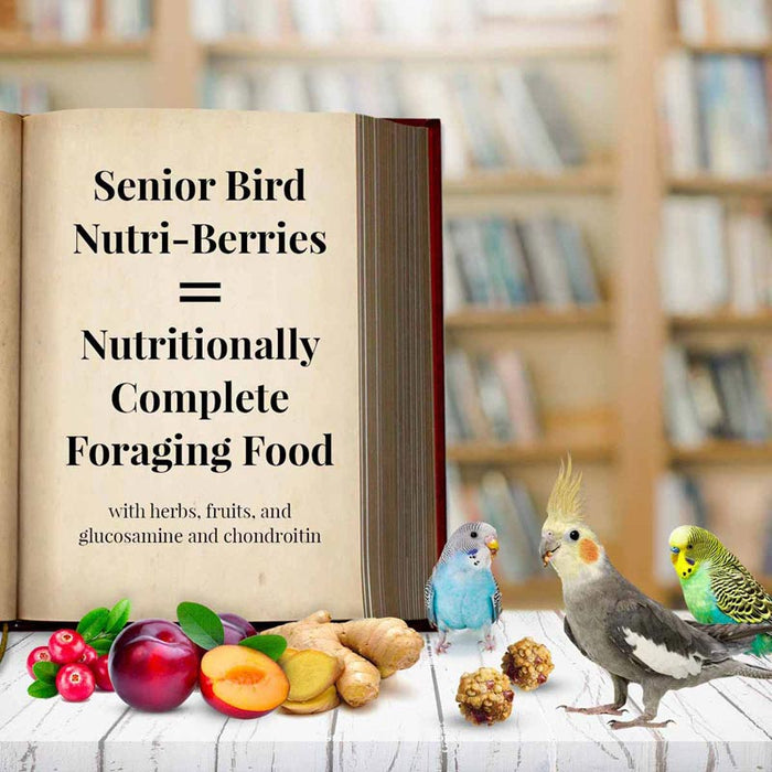 Lafeber Senior Bird Nutri-Berries for Parakeet & Cockatiel, 10 oz bag -   