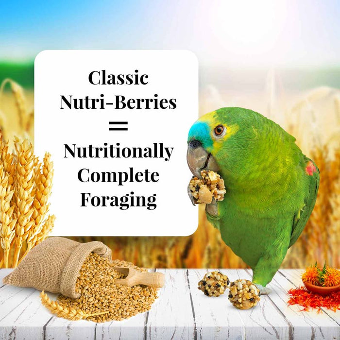 Lafeber Classic Parrot Nutri-Berries, 10 oz bag -   