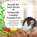 Lafeber Rascally Rat Nutri-Berries, 10 oz bag -   