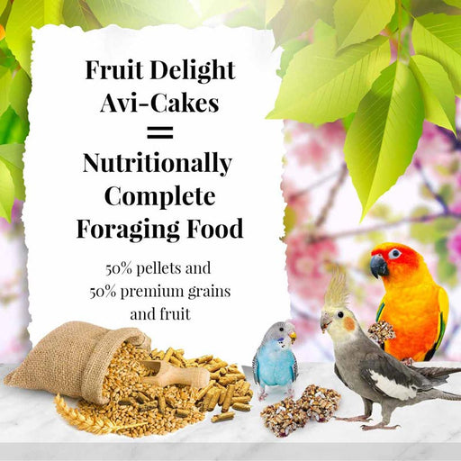 Lafeber Fruit Delight Avi-Cakes for Small Birds, 8 oz -   