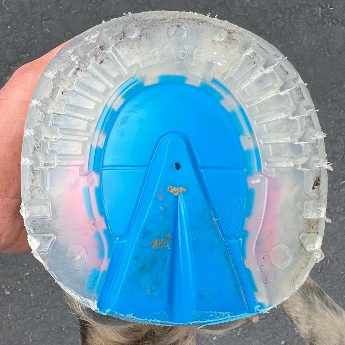 EasyShoe One Size 146