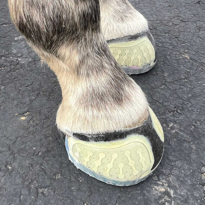 EasyShoe One Size 146