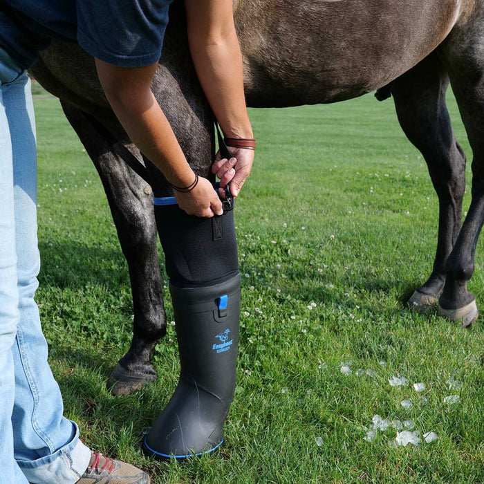 Easyboot Ultimate Remedy Tall Soaking & Therapy Boot Size Large