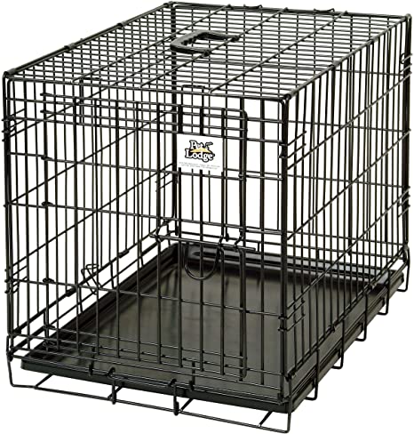 Single Door Wire Dog Crate - Small Single Door Wire Dog Crate, Blk  