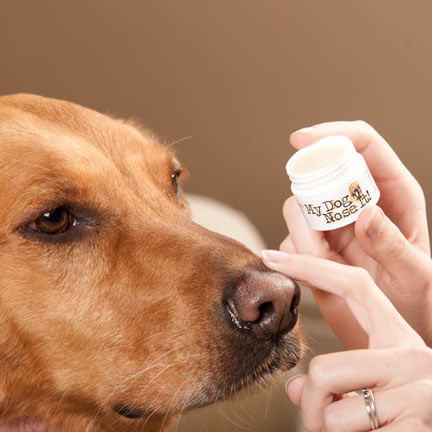 My Dog Nose It Doggy Sunscreen -   