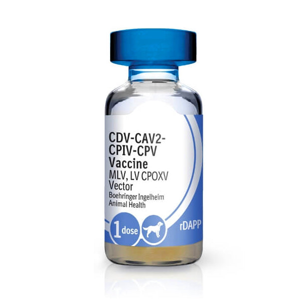 Recombitek C-4 Dog Vaccine (25 x 1mL)
