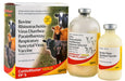 CattleMaster Gold FP 5 - 25 Dose Vial  