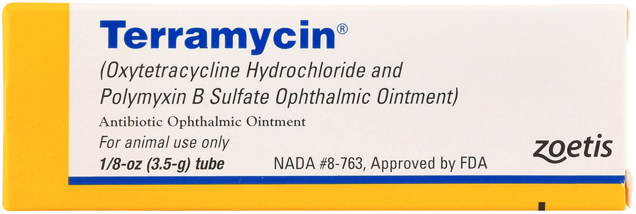 Terramycin Ophthalmic Eye Ointment -   