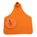 Syrvet Ear Tag Set, XL, 25/pk - Orange  