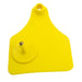 Syrvet Ear Tag Set, XL, 25/pk - Yellow  