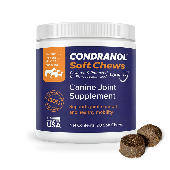Condranol Soft Chews Canine Joint Supplement for Dogs, 90 count