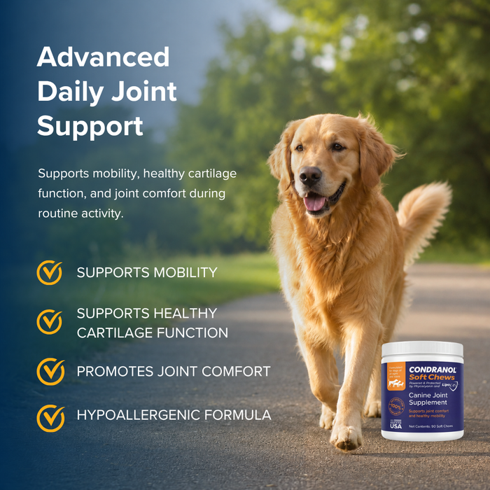 Condranol Soft Chews Canine Joint Supplement for Dogs, 90 count