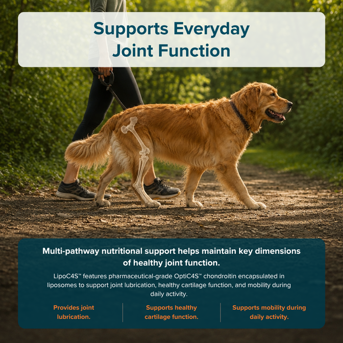 Condranol Soft Chews Canine Joint Supplement for Dogs, 90 count