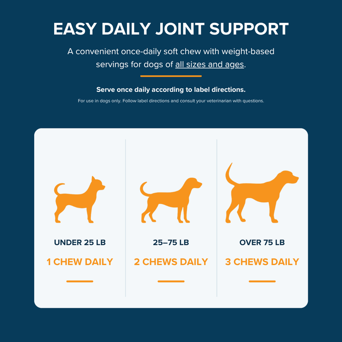 Condranol Soft Chews Canine Joint Supplement for Dogs, 90 count