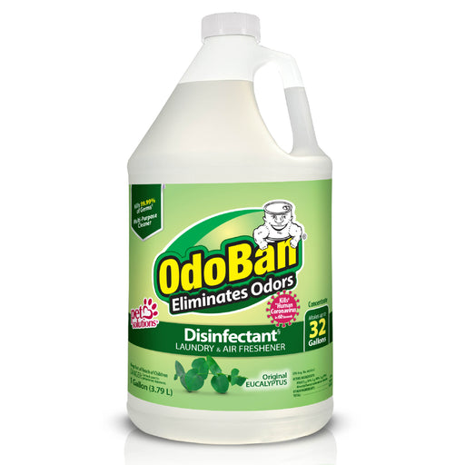 OdoBan Disinfectant Concentrate - Eucalyptus Eucalyptus 