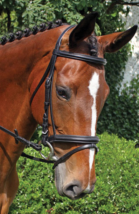 Nunn Finer "Brentina" Dressage Bridle, Black - Oversized  