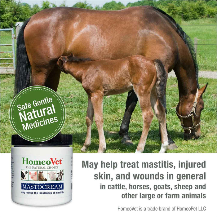 MastoCream para la mastitis