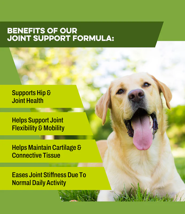 Fórmula de apoyo articular fuerte K9 Power Joint para perros
