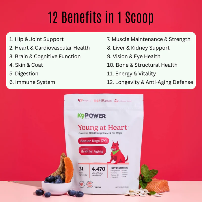 Fórmula de salud para perros mayores K9 Power Young at Heart