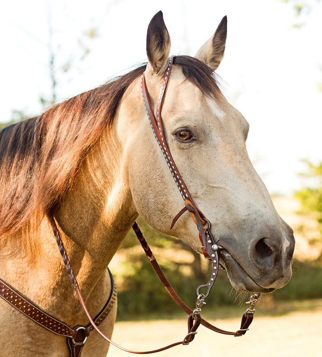 Oxbow Split Ear Headstall w/ Buckstitch -   