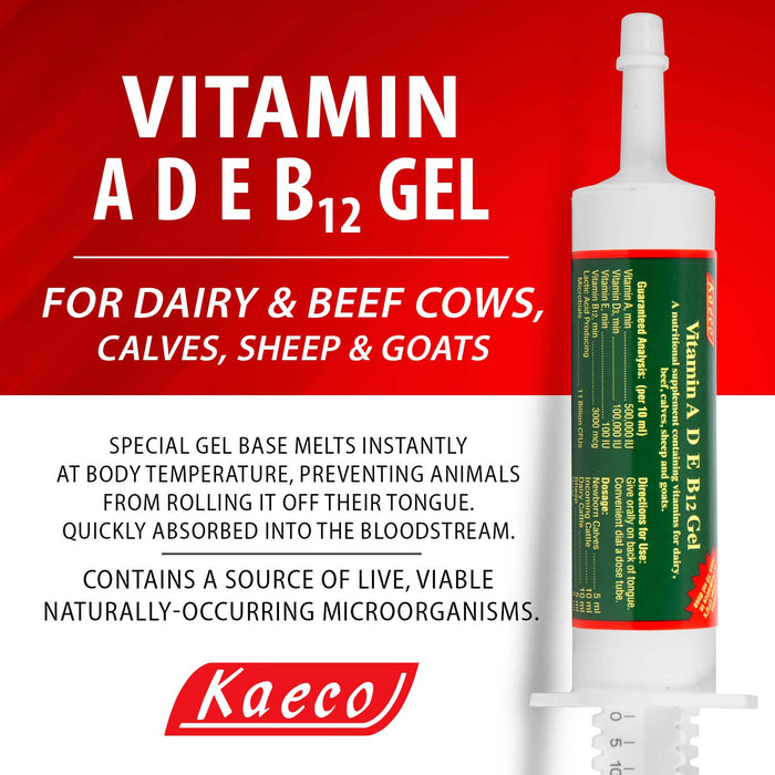 Vitamin ADE & B12 Gel