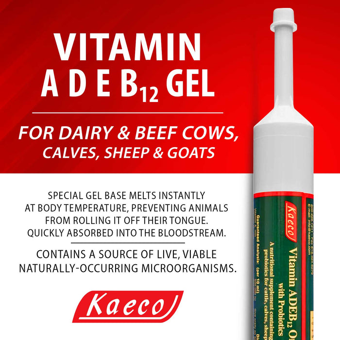 Vitamin ADE & B12 Gel