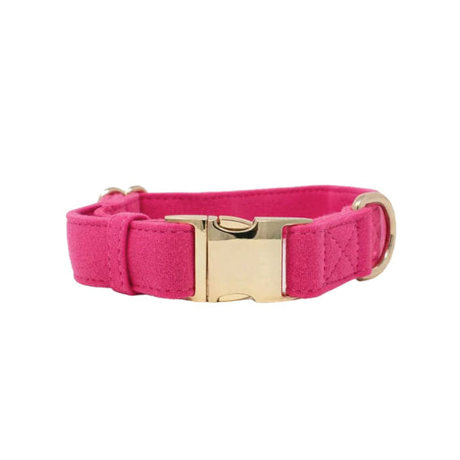 Pink Papyrus Antoinette Collar, Pink - XSmall  