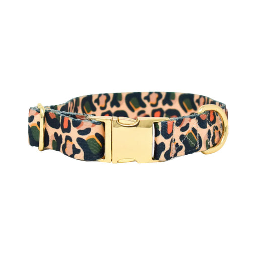 Pink Papyrus Beckett Collar, Leopard - XSmall  