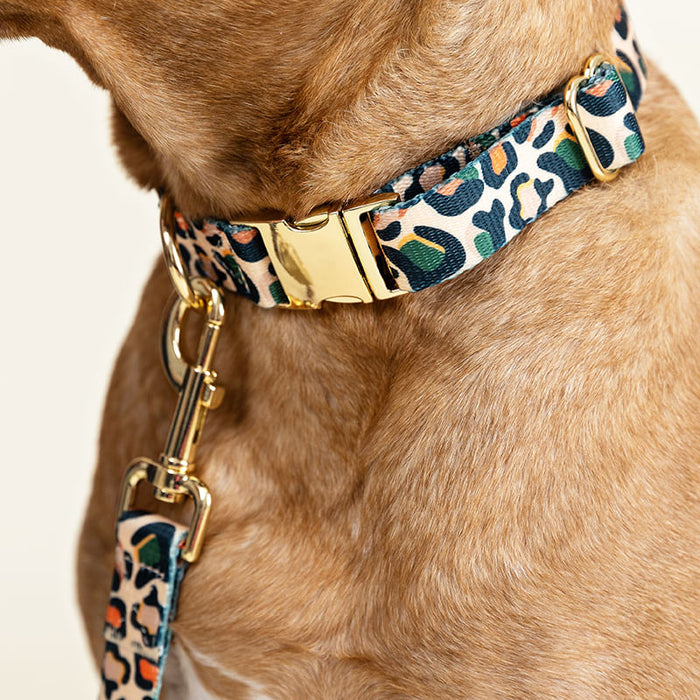 Pink Papyrus Beckett Collar, Leopard - Large  