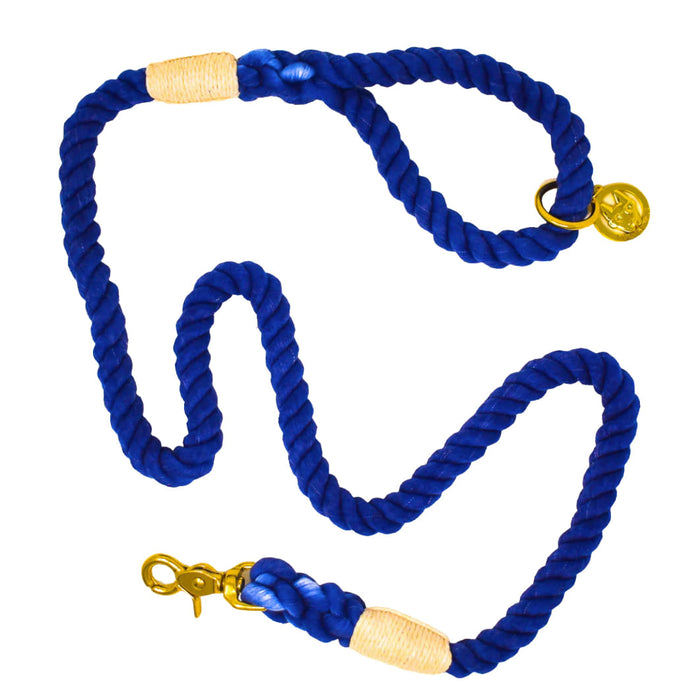 Pink Papyrus Rope Leash, 6ft - Royal Blue  