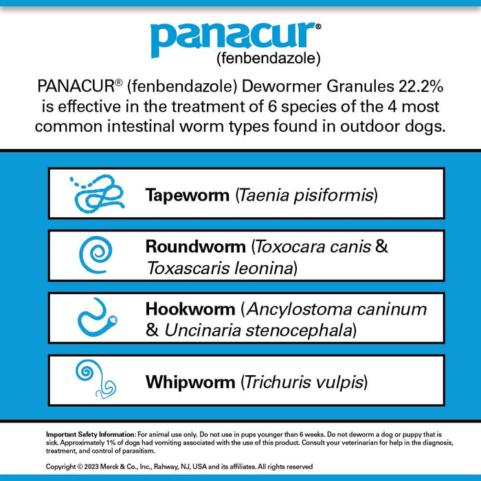 Panacur 22.2% Granules for Dogs, 1 lb Tub -   