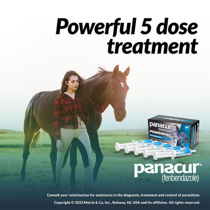 Panacur Powerpac Horse Dewormer -   