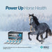 Panacur Powerpac Horse Dewormer -   