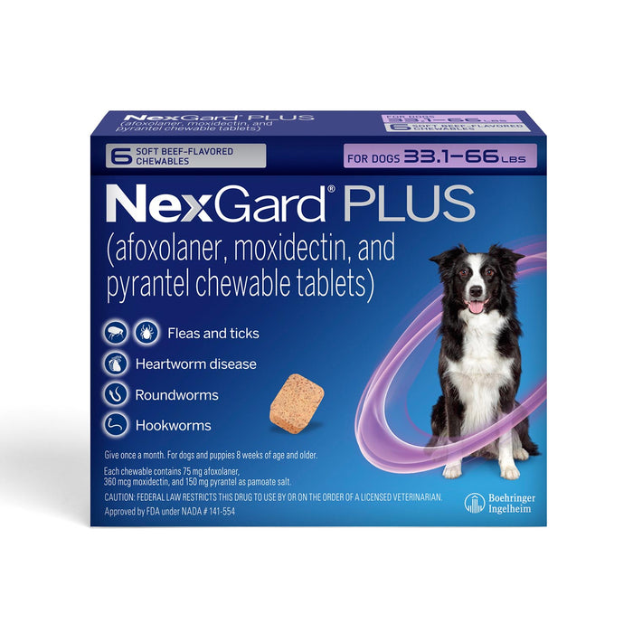 Rx NexGard Plus - 6ct 33.1-66lbs 