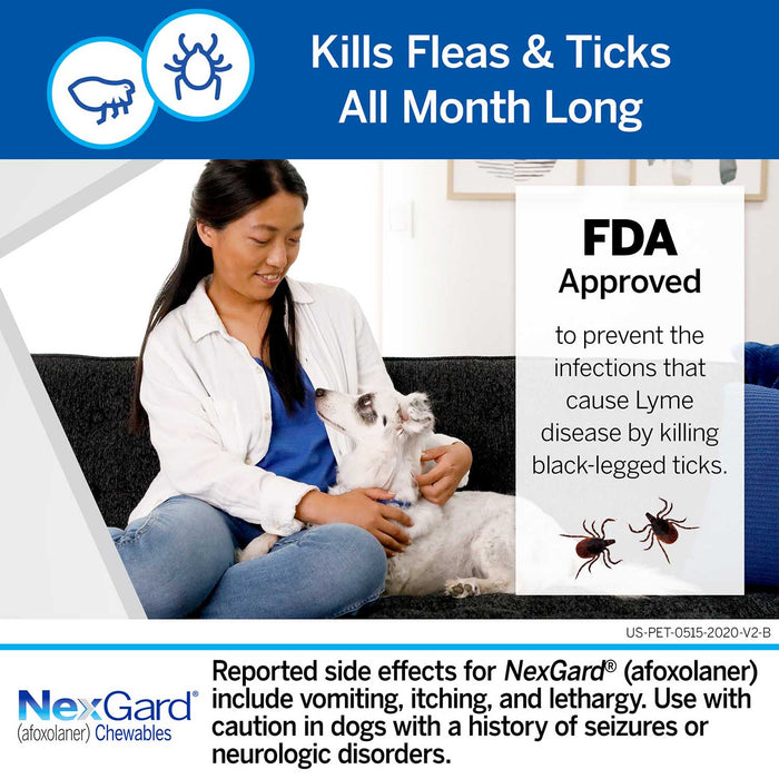 NexGard Flea and Tick Chewables for Dogs - Rx NexGard, Dog 24.1-60 lb, 6 Chew Tabs  