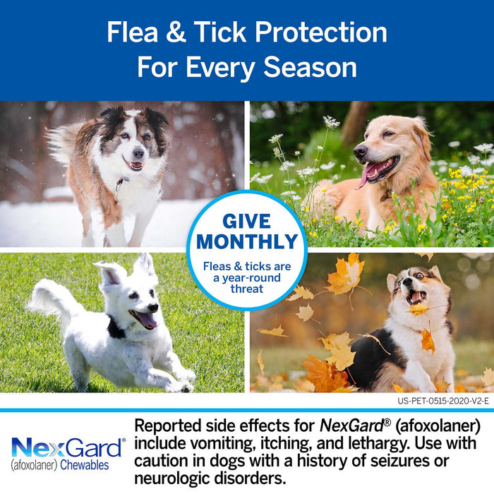 NexGard Flea and Tick Chewables for Dogs - Rx NexGard, Dog 24.1-60 lb, 6 Chew Tabs  