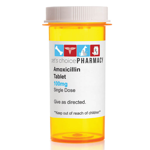 Rx Amoxicillin Tablets - Rx Amoxicillin, 100 mg x 1 tablet  