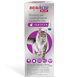 Rx BRAVECTO Plus Topical Cat - Rx Bravecto Plus Topical Cat, 13.8-27.5 lb x 1 Tube  