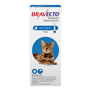 Rx BRAVECTO Topical Feline - Rx Bravecto Topical Feline, 6.2-13.8 lb x 1 Tube  