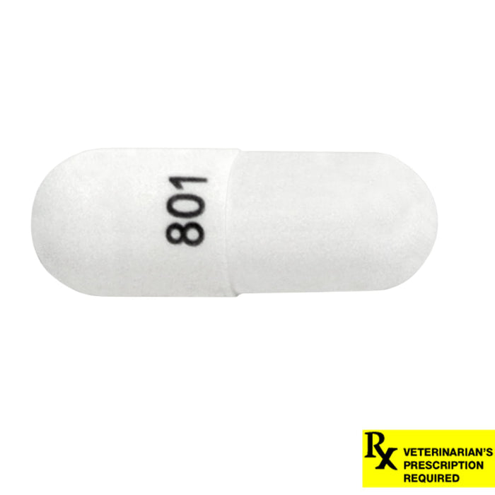 Rx Cephalexin Capsule - Rx Cephalexin, 250mg x 1 Capsule  