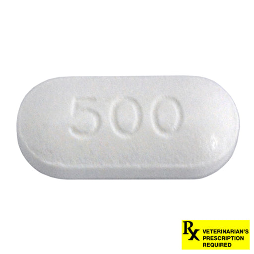 Rx Ciprofloxacin HCl Tablets - Rx Ciprofloxacin HCl, 500mg x 1 Tablet  