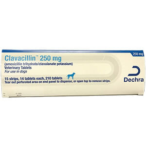 Rx Clavacillin Tablets - Rx Clavacillin, 250mg x 210 Tablets  