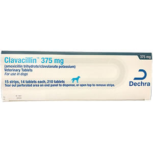 Rx Clavacillin Tablets - Rx Clavacillin, 375mg x 210 Tablets  