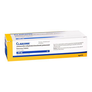 Rx Clavamox, 125mg x 100 Chewable Tablets -   