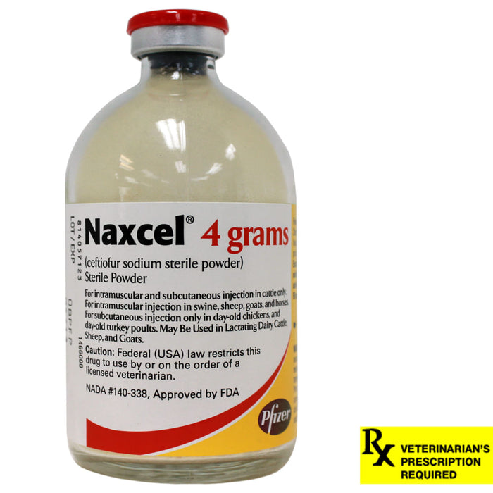 Rx Naxcel - Naxcel Rx 4 gm  